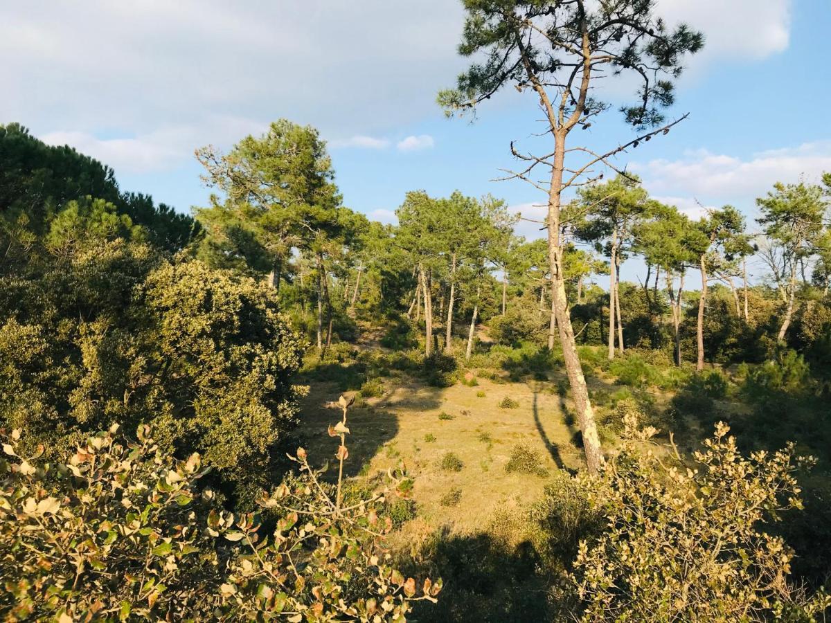 Maison Des Dunes, A 100M De La Mer Saint-Hilaire-de-Riez Exteriér fotografie